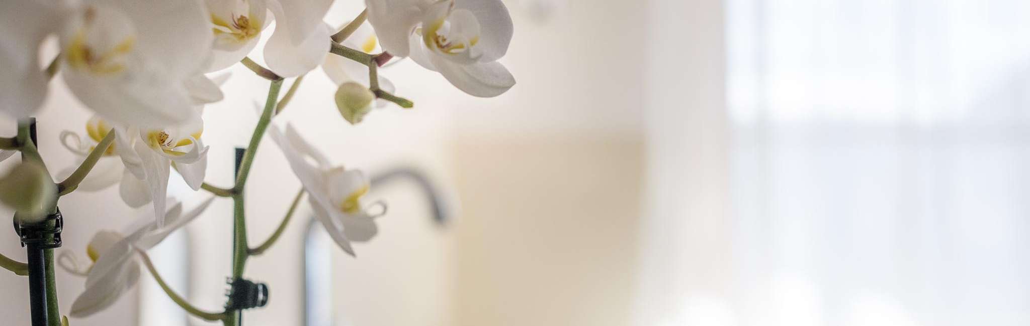 002-20180314_DSC0065_1