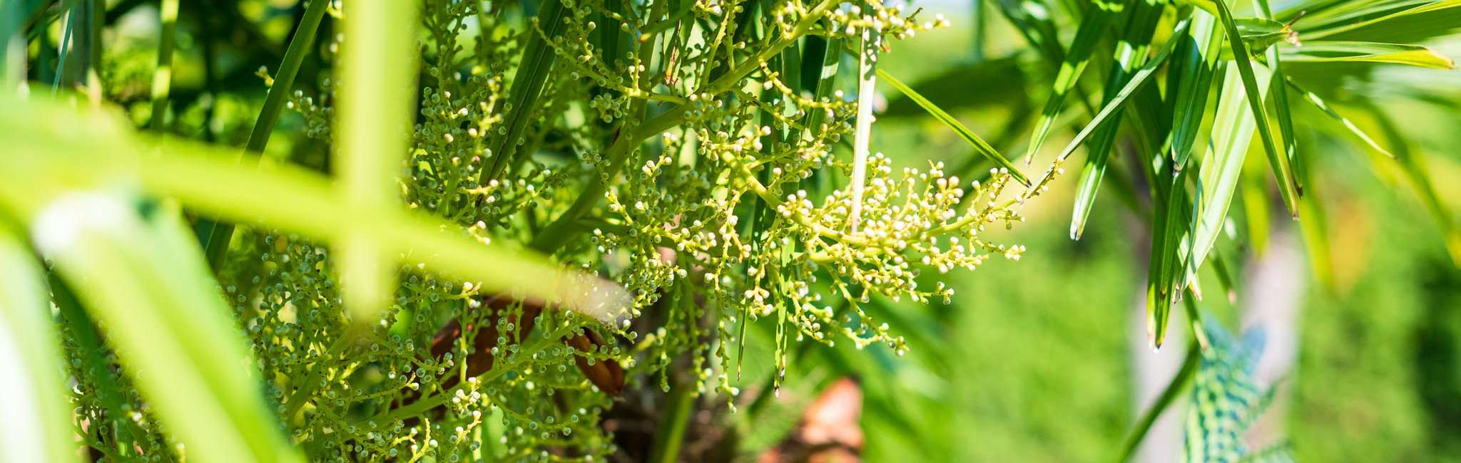 20240606-163522-DSC_9391