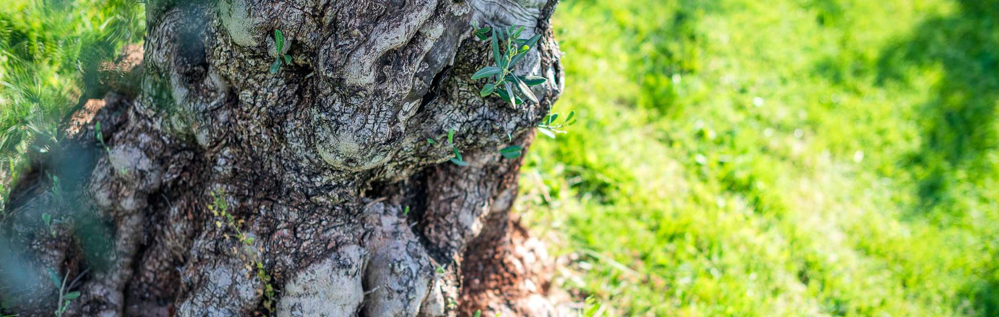 20240606-163608-DSC_9394