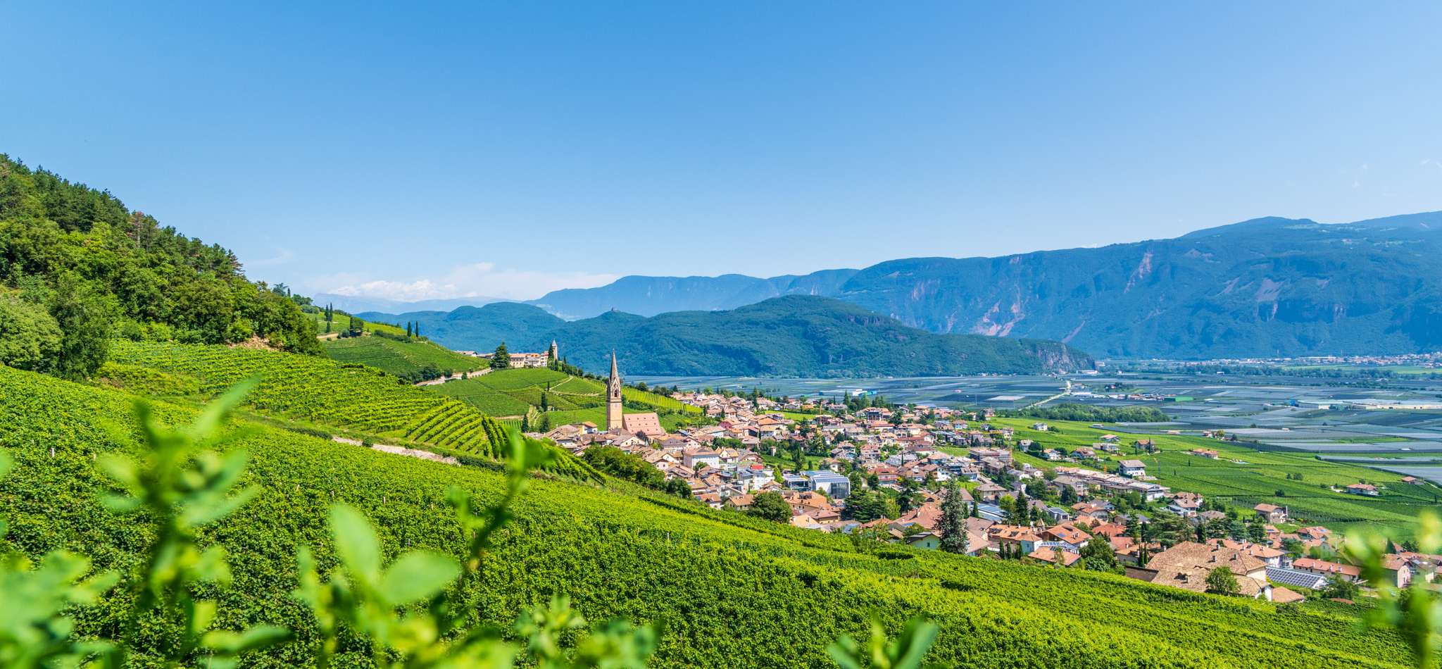 001-20210810122703-_8503732