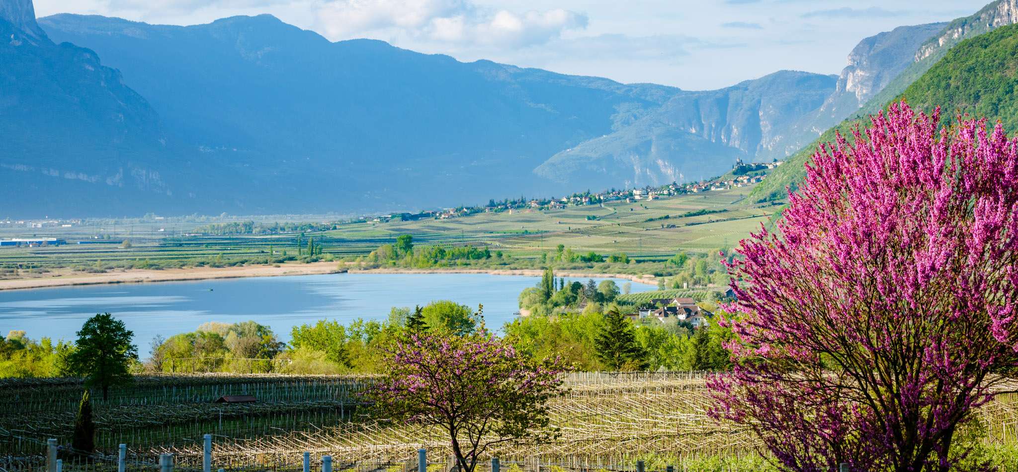 003-20150419081717-_DSC9667