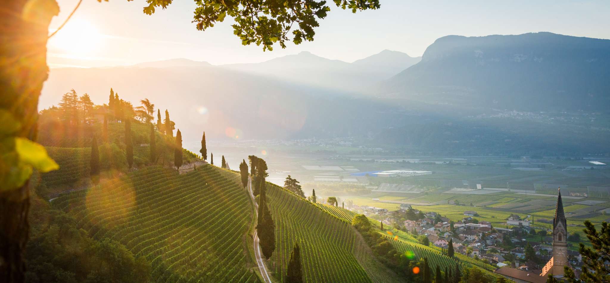 20150712062928-_DSC3625-fuer-Hof-im-Bad